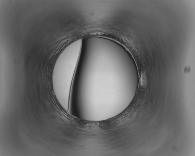 X0000091571444200708200940