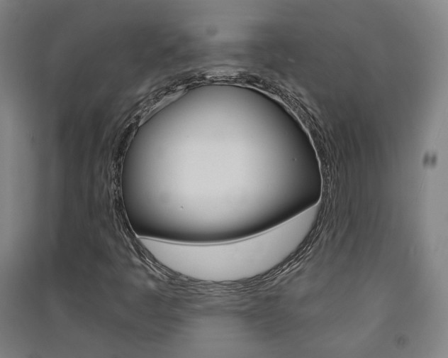 X0000091571445200708200940