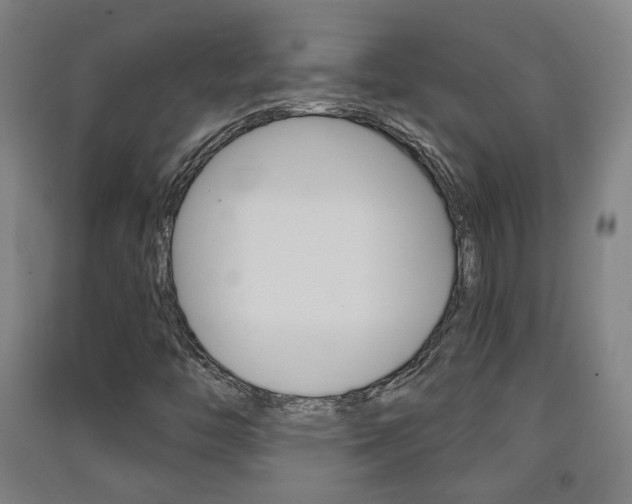 X0000091571446200708200940