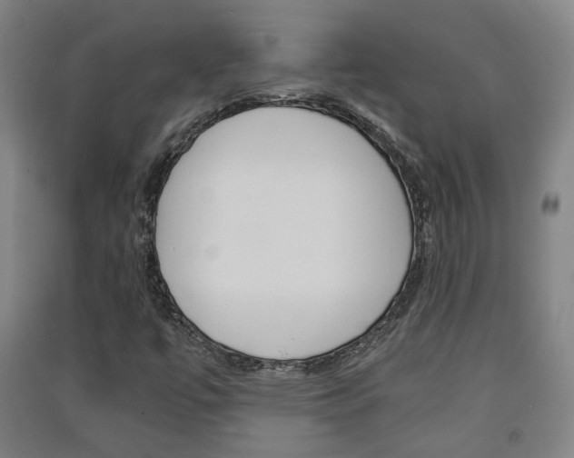 X0000091571447200708200940