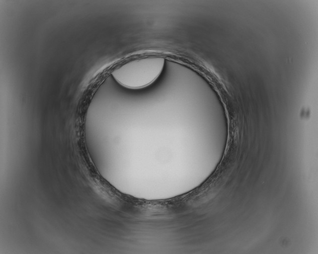 X0000091571448200708200940