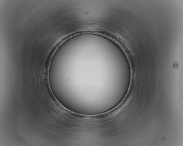 X0000091571449200708200940