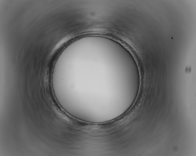 X0000091571450200708200940