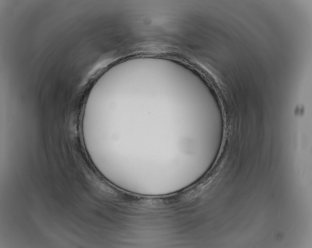 X0000091571451200708200940