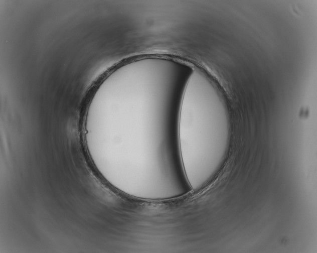 X0000091571452200708200940