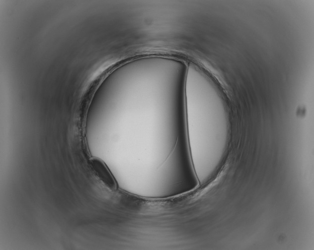 X0000091571453200708200940