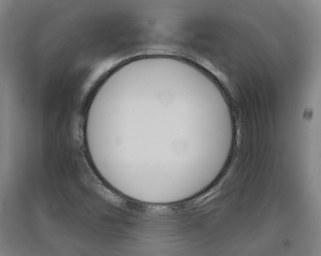 X0000091571454200708200940