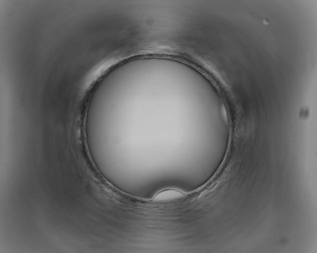 X0000091571455200708200940