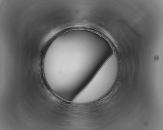 X0000091571456200708200940