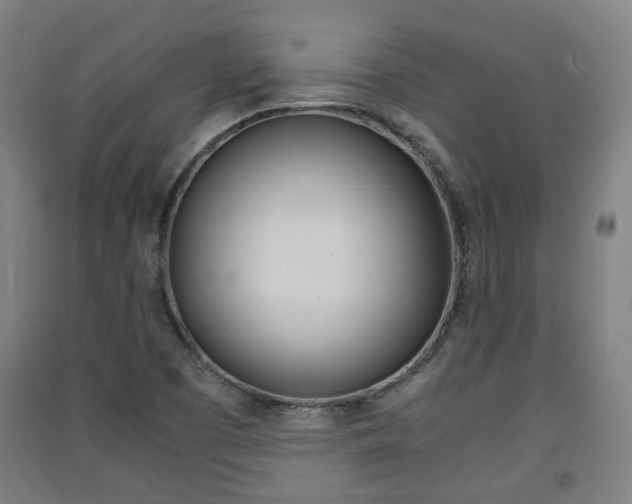 X0000091571457200708200940