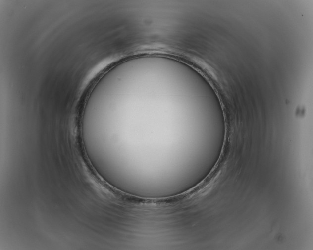 X0000091571458200708200940