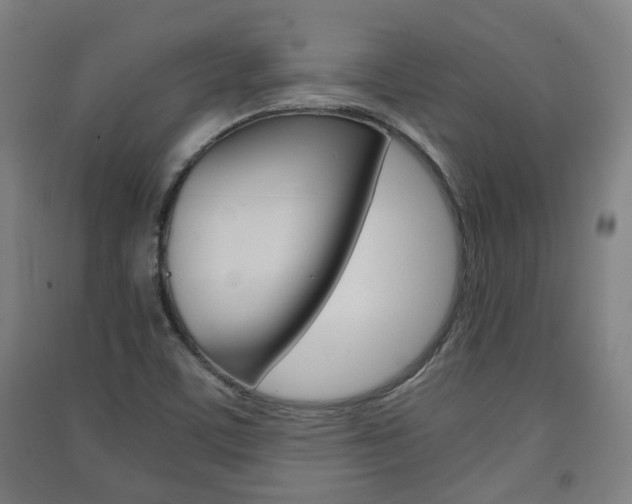 X0000091571459200708200940