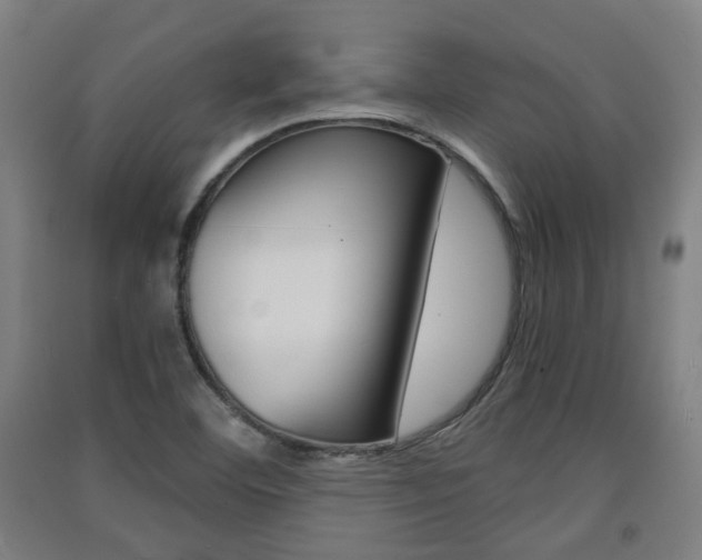 X0000091571460200708200940