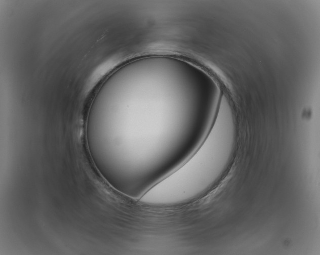 X0000091571461200708200940