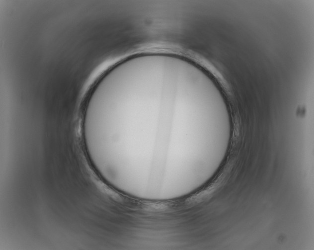 X0000091571462200708200940