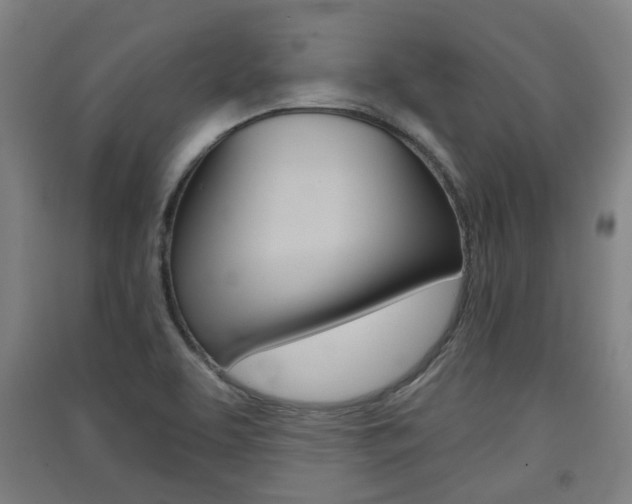 X0000091571463200708200940