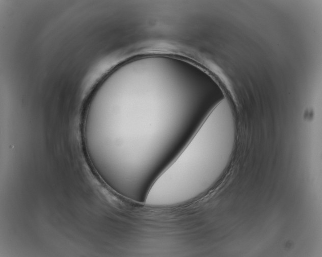 X0000091571464200708200940