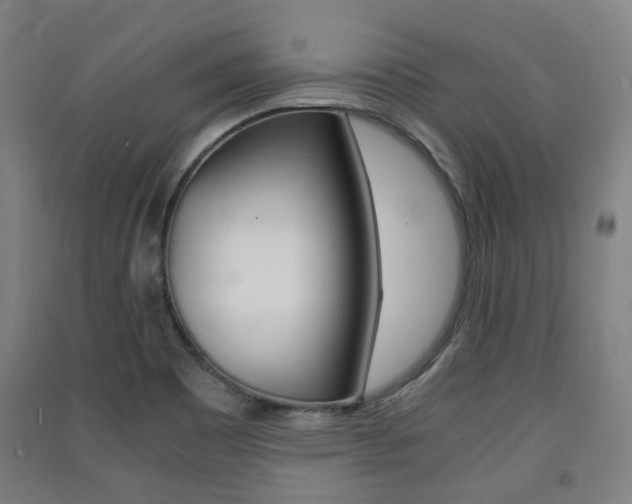 X0000091571465200708200940