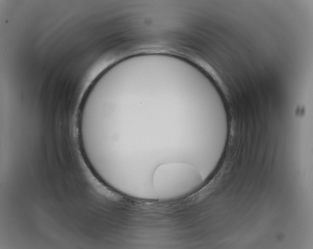 X0000091571466200708200940