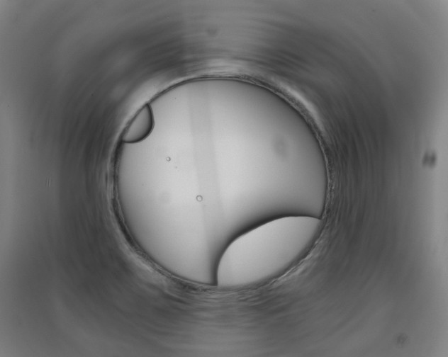 X0000091571467200708200940