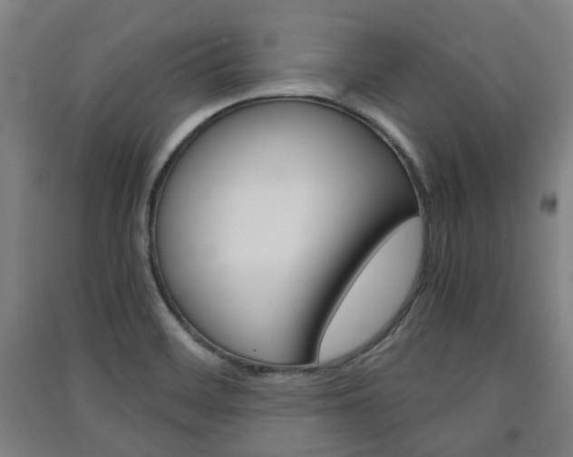 X0000091571468200708200940