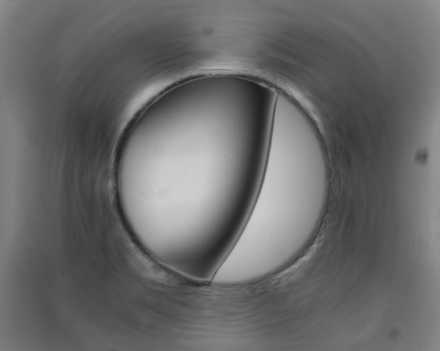 X0000091571469200708200940