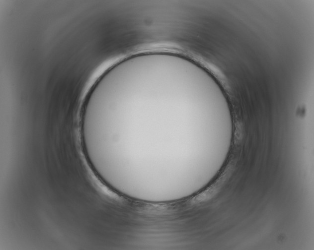 X0000091571470200708200940