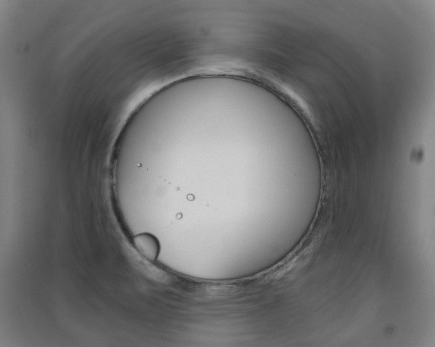 X0000091571471200708200940