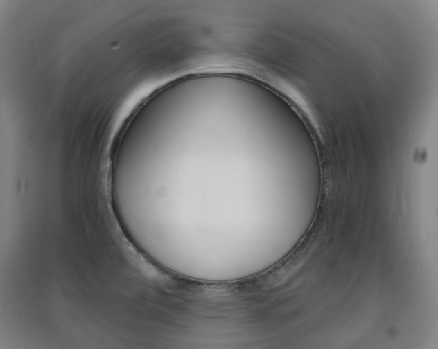 X0000091571472200708200940