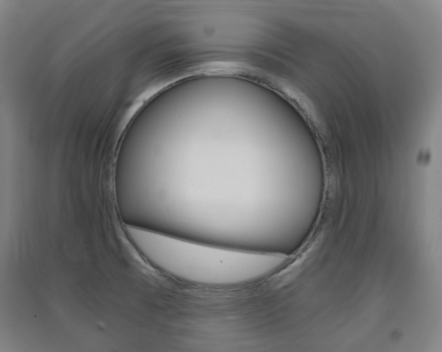 X0000091571473200708200940