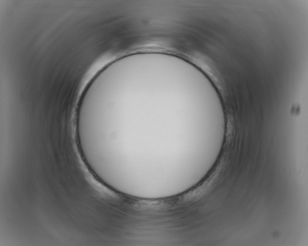 X0000091571474200708200940