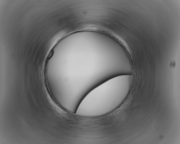 X0000091571475200708200940