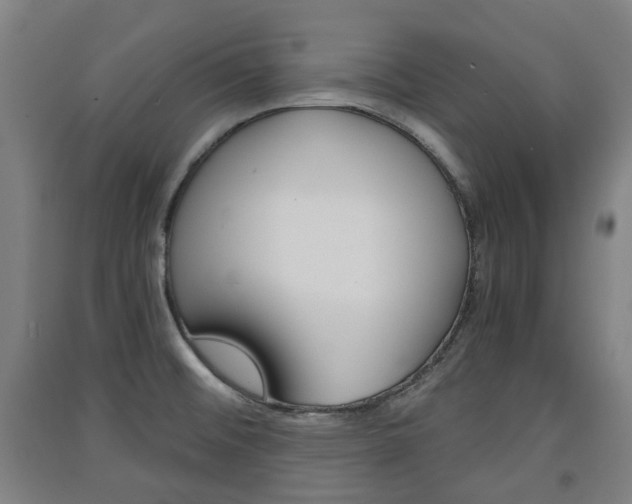 X0000091571476200708200940