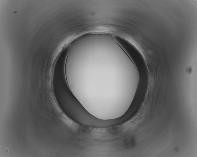X0000091571477200708200940