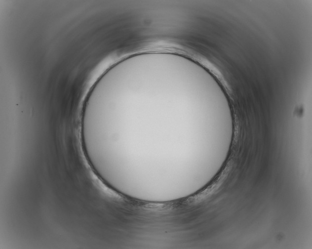 X0000091571478200708200940