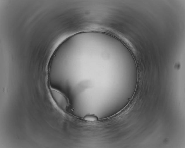 X0000091571479200708200940