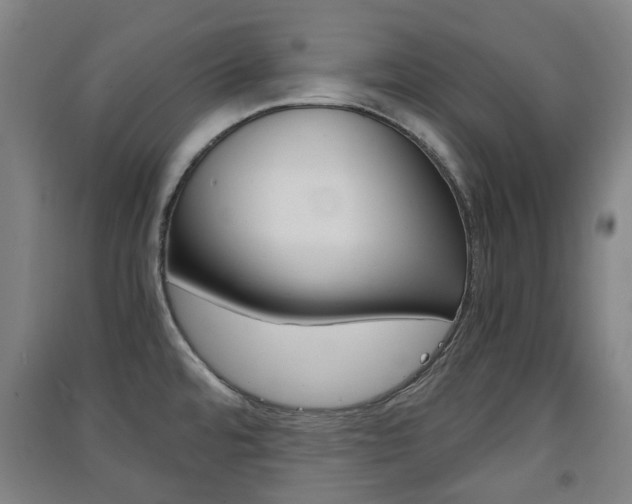 X0000091571480200708200940