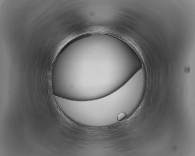 X0000091571481200708200940