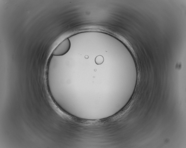 X0000091571482200708200940