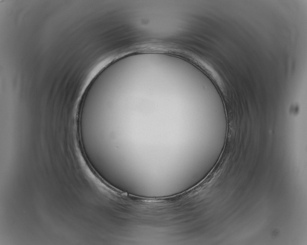 X0000091571483200708200940