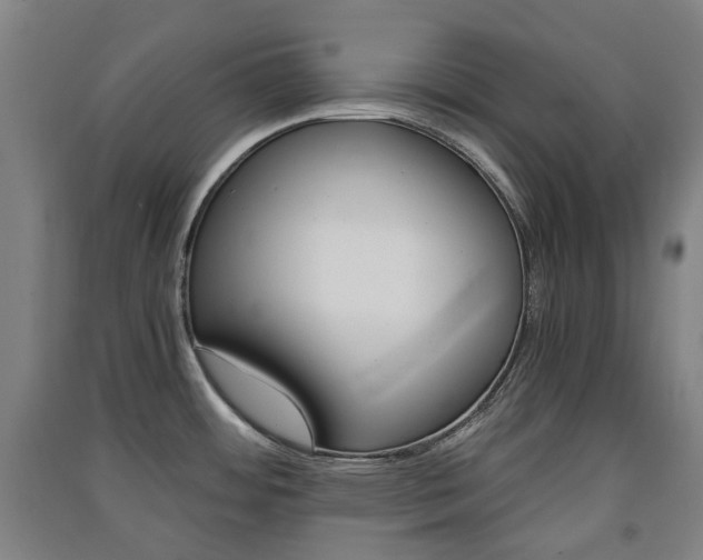 X0000091571484200708200940