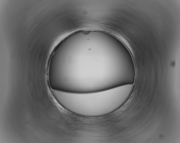 X0000091571485200708200940