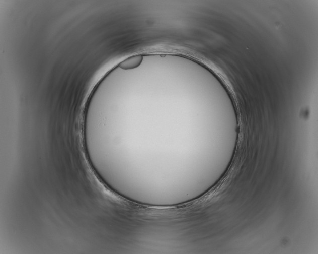 X0000091571486200708200940