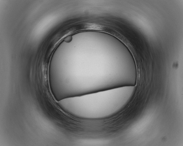 X0000091571487200708200940
