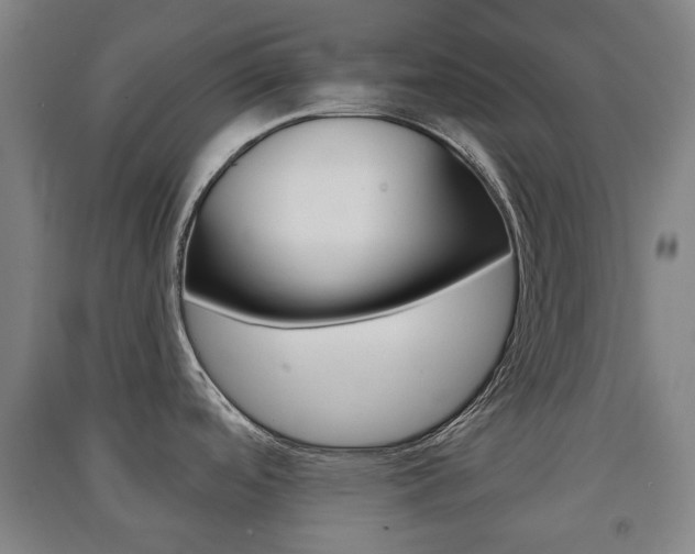 X0000091571488200708200940