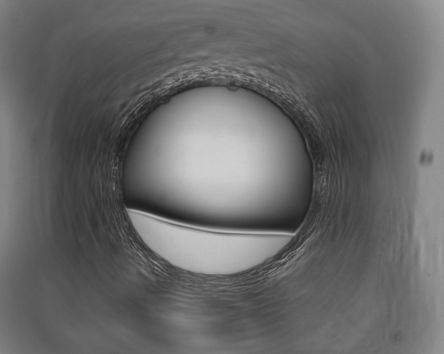 X0000091571490200708200939