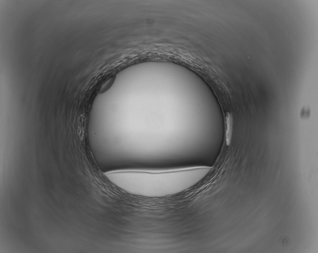 X0000091571491200708200939