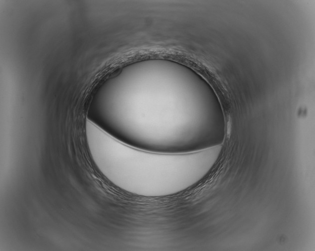 X0000091571492200708200939