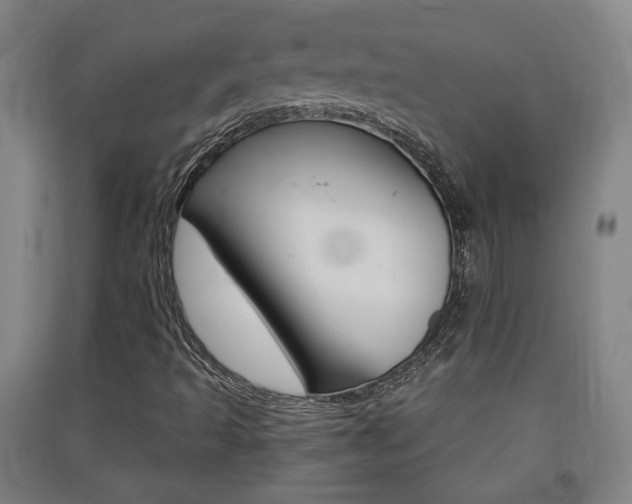 X0000091571493200708200939
