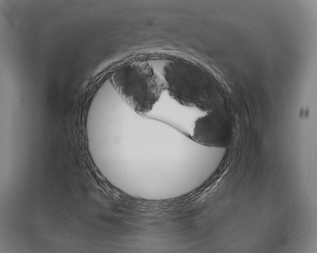 X0000091571494200708200939